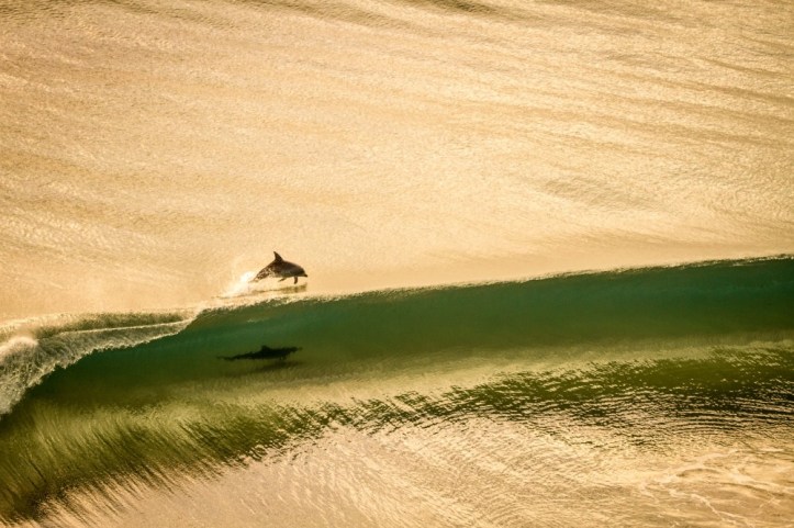 54161855139031410734165_thumb