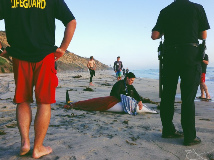 Surf_Photography-Encinitas-CA-1462