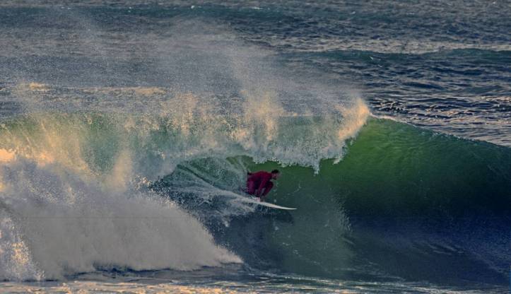 14099603_275945159456147_1670666394_n