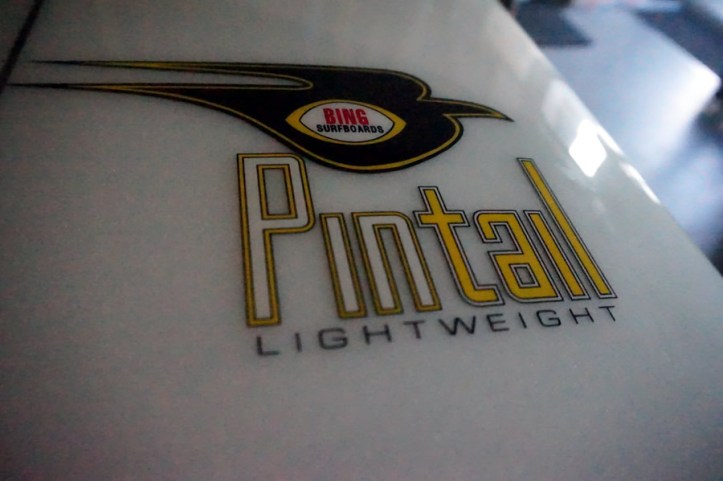 pintaillogo